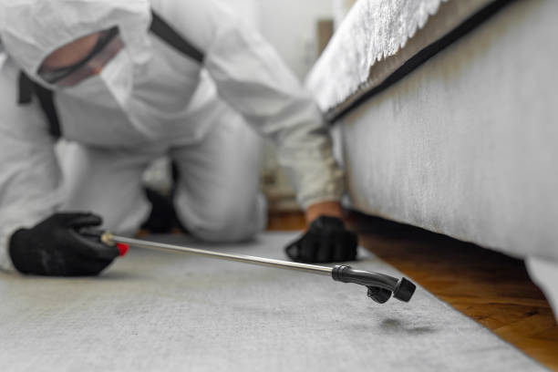 Professional Cockroach Control technician working in Golden Hills, CA