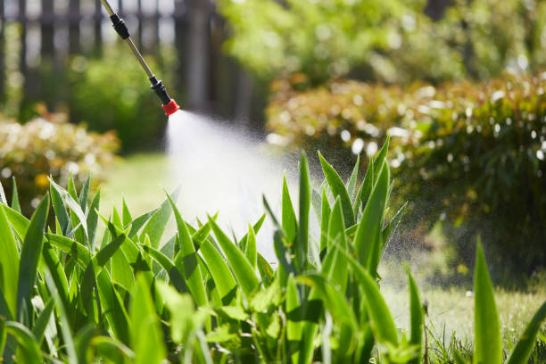 24/7 Emergency Cockroach Control experts in Golden Hills, CA