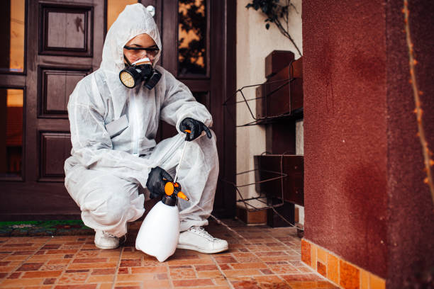 Reliable Cockroach Control contractor in Golden Hills, CA by Nex Pest Control